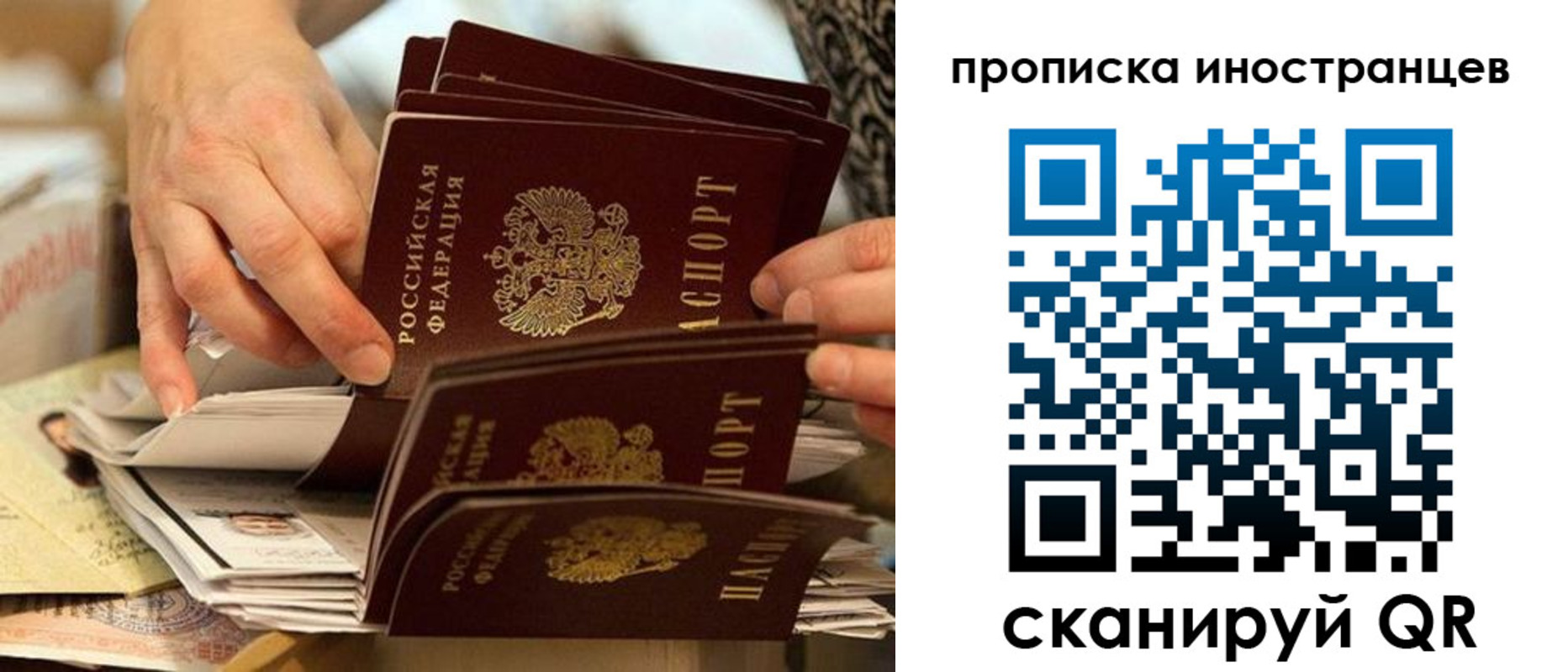 прописка 2025 в Видном